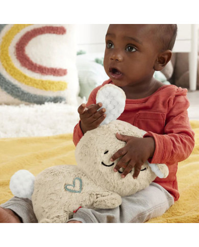FISHER PRICE JÄNKU UNEKAISUKAS, HXG97