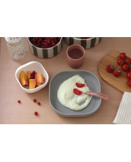 BEABA silikoonist söögikomplekt, Terracotta – 4 osa