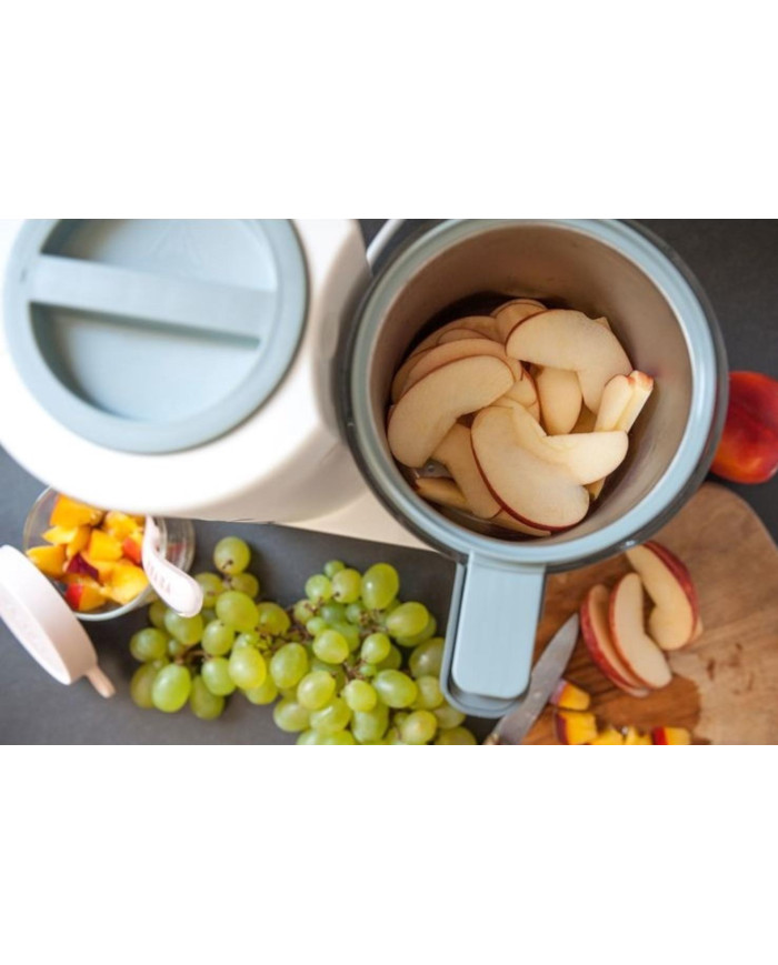 BEABA BABYCOOK BLENDER-AURUTI NEO, GREY/WHITE